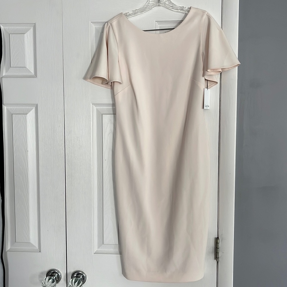 Blush Calvin Klein bodycon shirt sleeve dress women’s size 6. Never worn